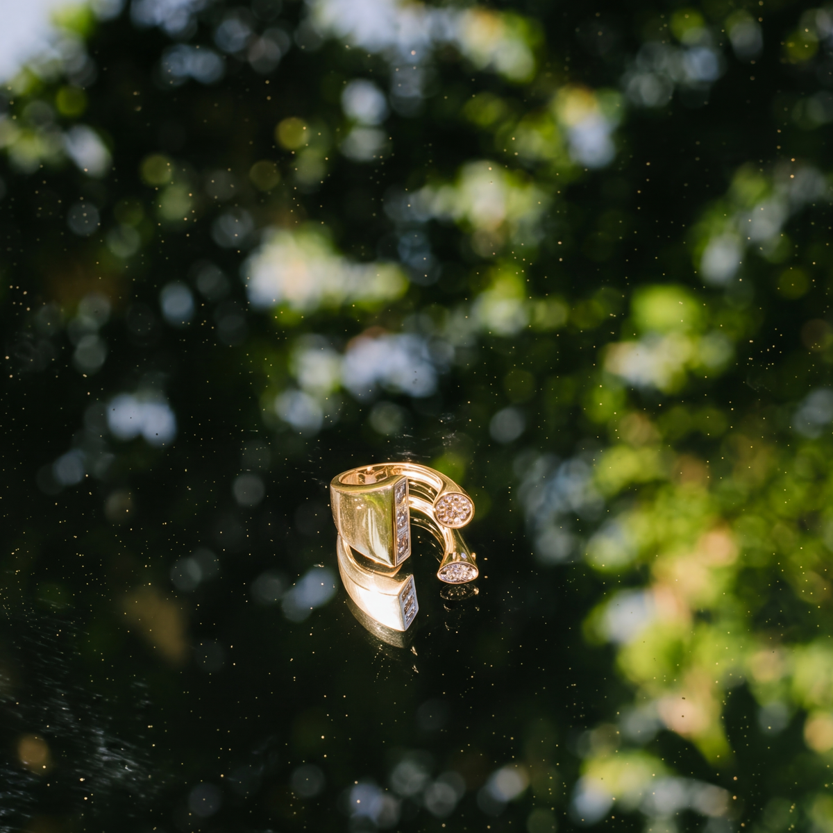 Vortice Ring